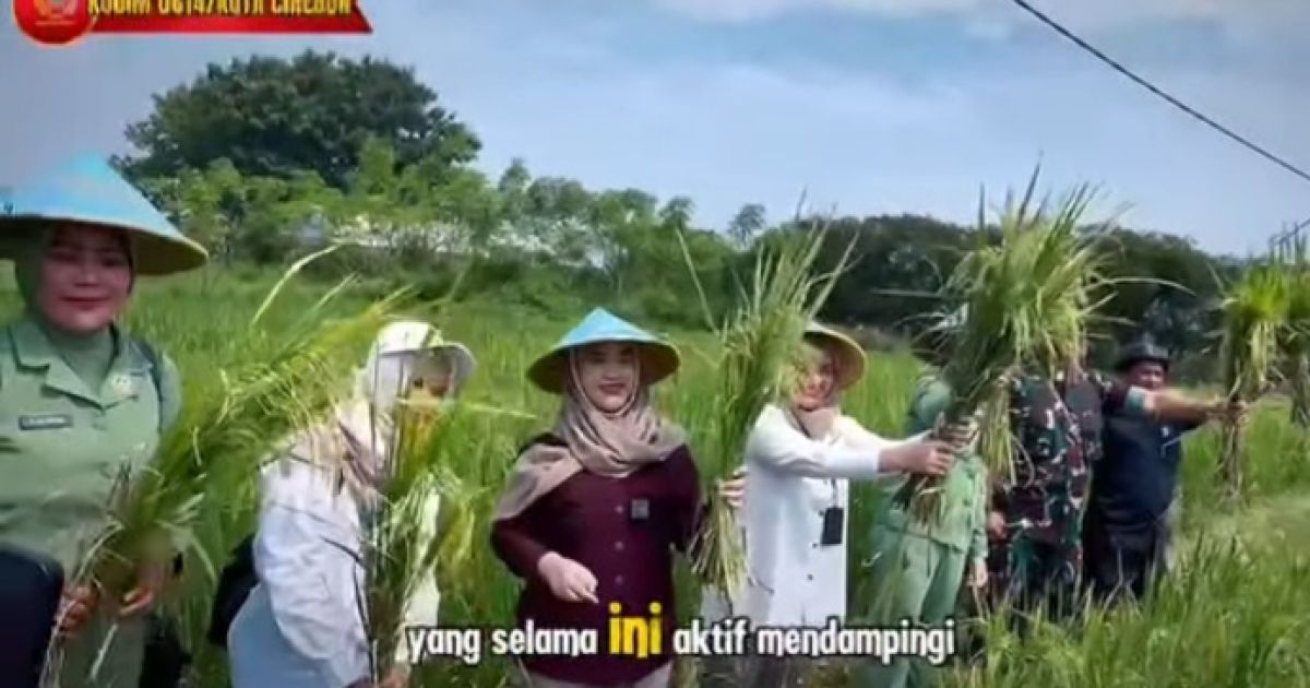 Kodim 0614 dan Bulog Serap Gabah Petani di Harjamukti