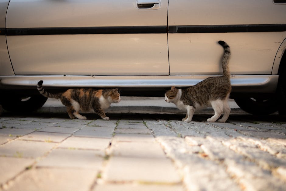 Kendaraan Cerdas: Teknologi Menjamin Efisiensi dan Keselamatan Jalan Raya